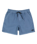 Billabong ALL DAY OVD LB in Steel Blue