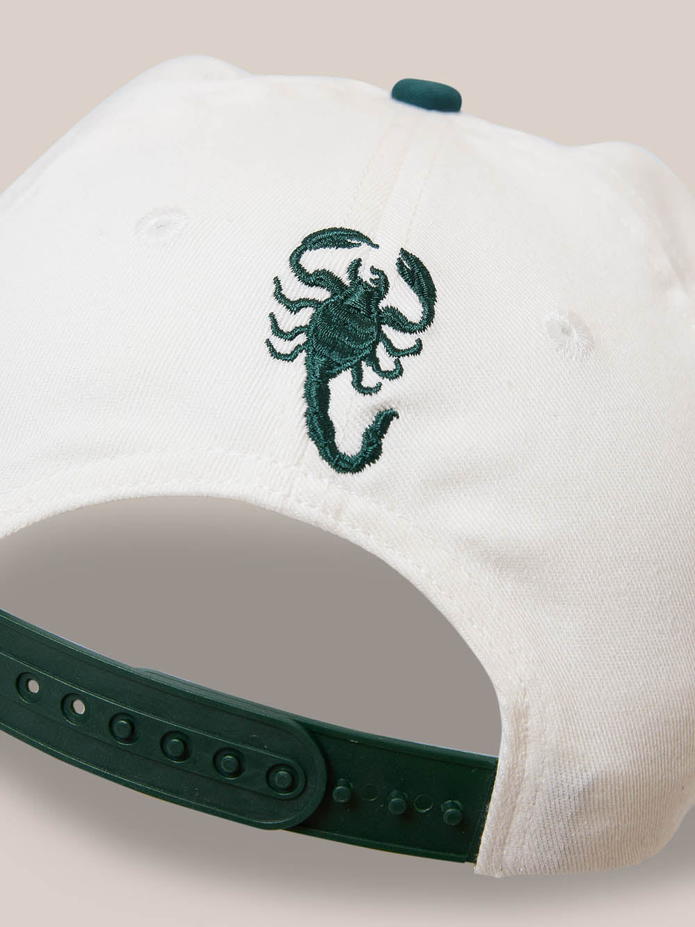 Thrills Co Los Stingers 6 Panel Cap - Natural - Botanical Garden in Natural - Botanical Garden