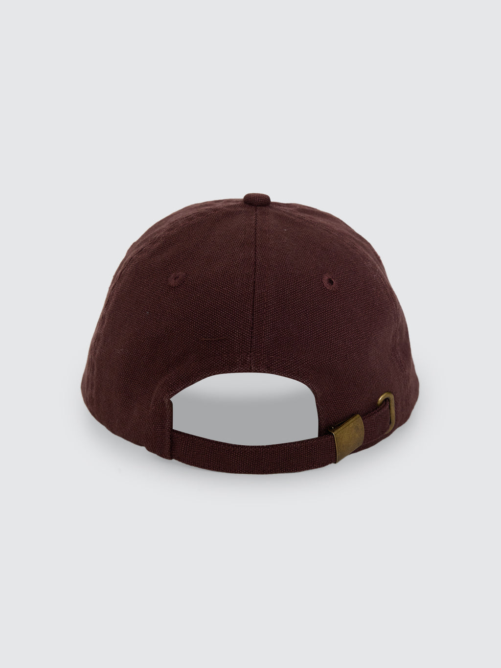 Thrills Co Minimal Thrills 6 Panel Cap - Orchard Brown in Orchard Brown