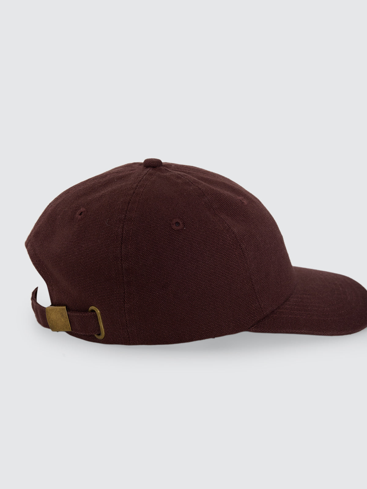 Thrills Co Minimal Thrills 6 Panel Cap - Orchard Brown in Orchard Brown