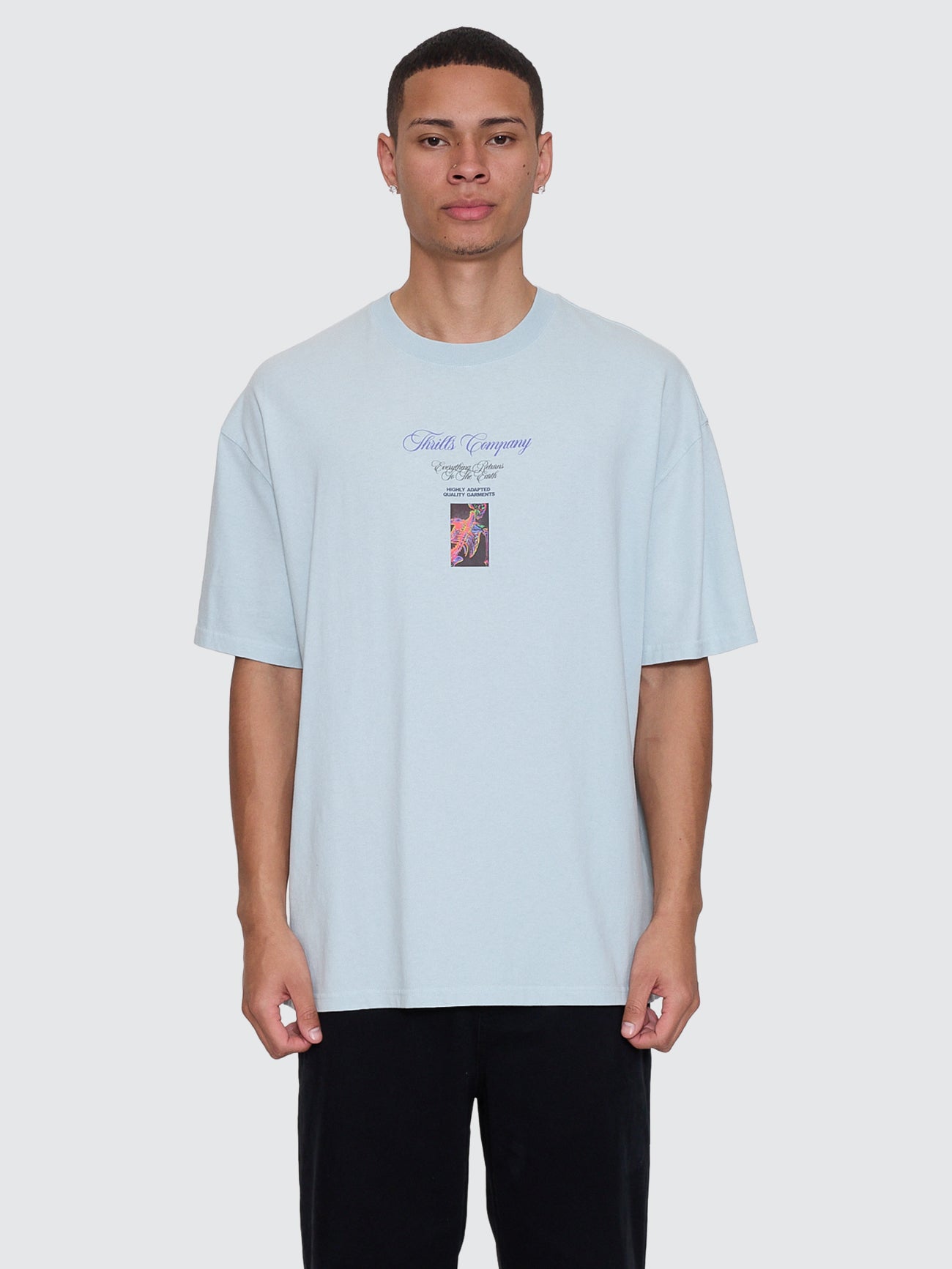 Thrills Co Reentry Box Fit Oversize Tee - Faded Mint in Faded Mint